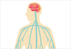 頭痛と自律神経